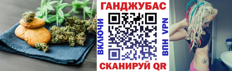 сколько стоит  Пошехонье  Cannafood конопля 