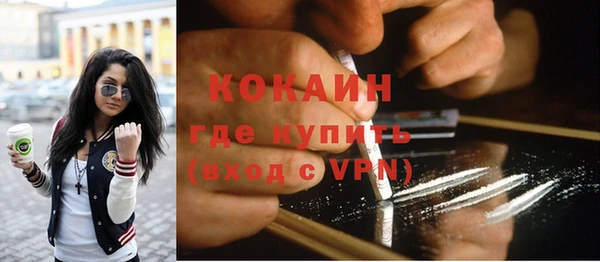 крисы Новозыбков