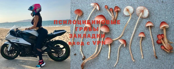 первитин Алексеевка