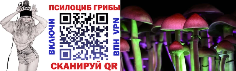Псилоцибиновые грибы мухоморы  Пошехонье 